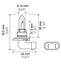 Load image into Gallery viewer, Hella Bulb 9005 12V 65W P20D T4 +50