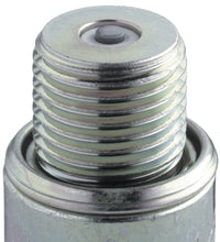 Load image into Gallery viewer, NGK Standard Spark Plug Box of 10 (BUZHW)